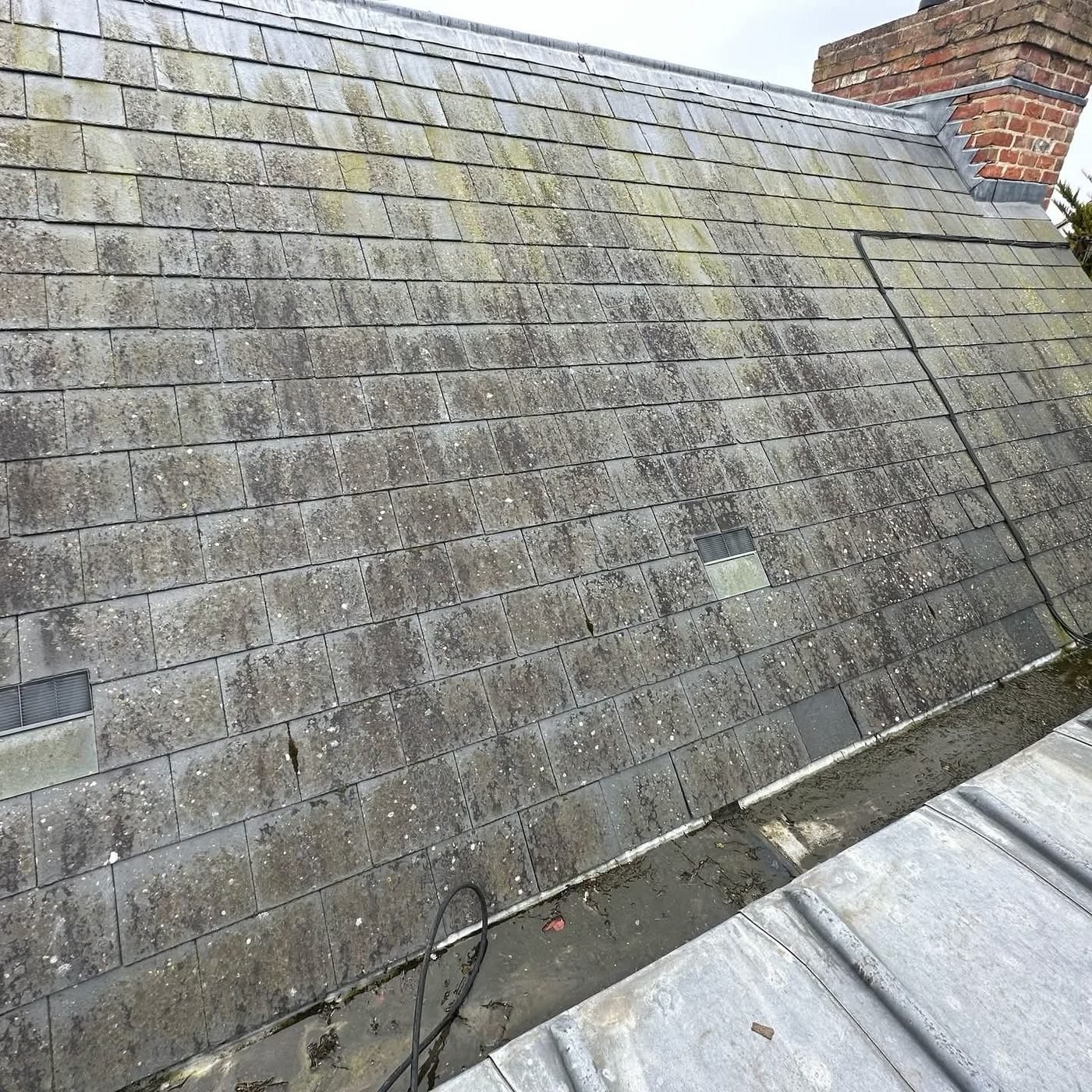 A roof covered in moss and algae before cleaning in West Sussex